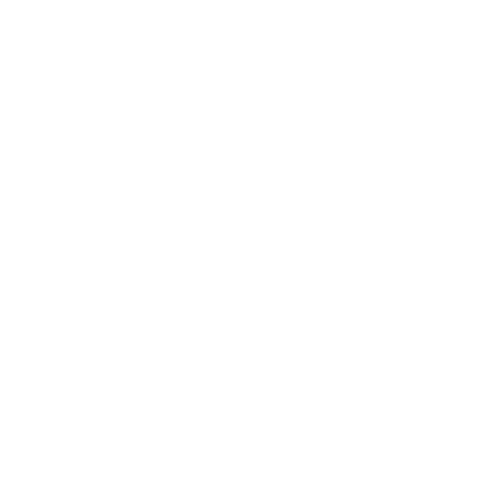 Lahore Icon